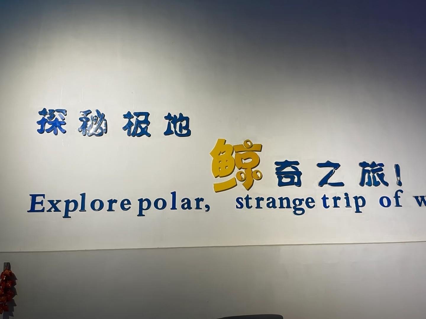 微信图片_20260612102257_550_64.jpg